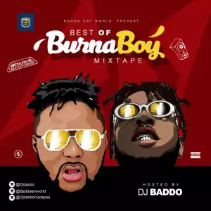 Dj Baddo - Best Of Burna Boy Mix (2019)